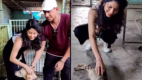 Abhidnya Bhave celebrates her birthday with her furry friends- Street Dog's and Cats