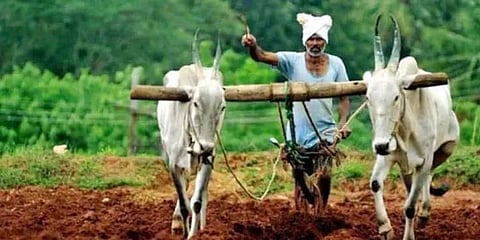 Farmer