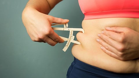 What Is Our Perfect Weight
