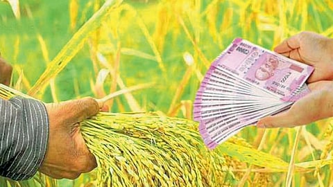 farmer 