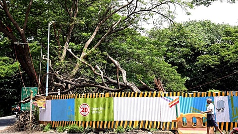 aarey carshed