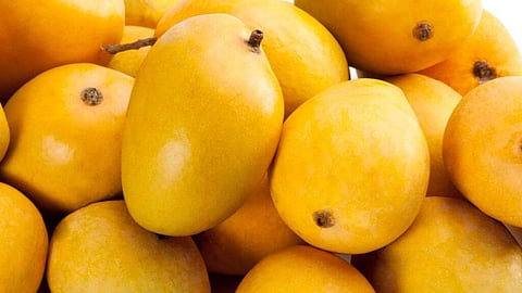 mango