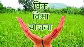 पीक विमा 