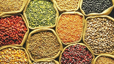  food Grain production