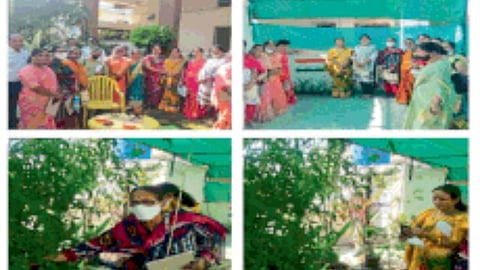 नांदेड : ‘माझं घर हरित घर’ उपक्रमाला प्रतिसाद