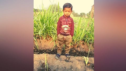 Beed Accident News