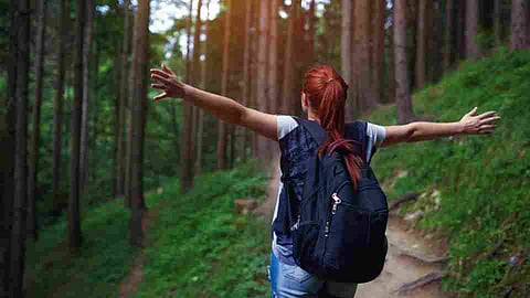 Listening To Sounds of Nature in Morning Helps Maintain Mental Health Study