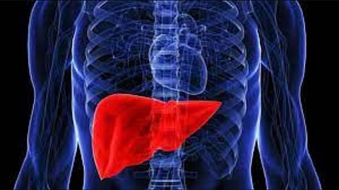 Government refused to donate the liver