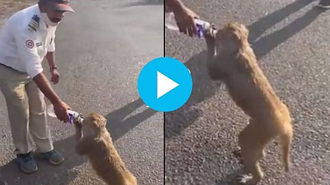 Police constable feeding water to monkey