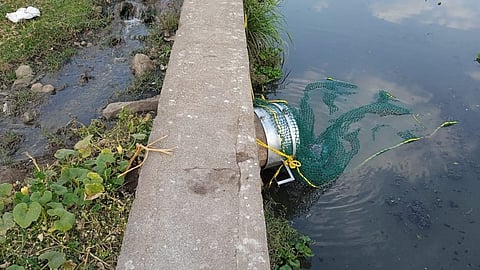 river pollution 