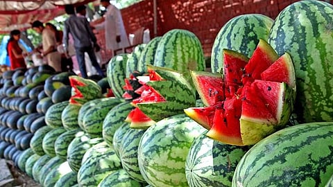 Watermelon 