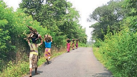 women question to government save the family or the environment Gas price hike 