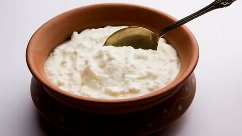 Curd
