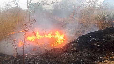 Fire in cantonment garden near Khandoba hill