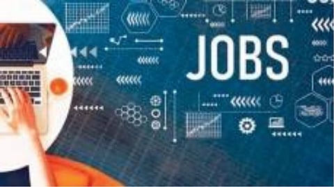 Education Job 