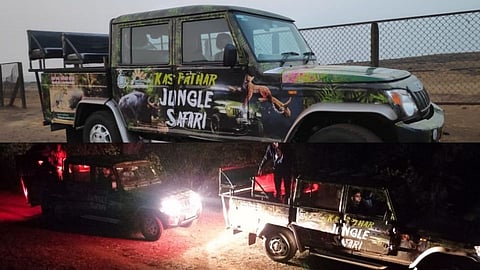  Night safari 
