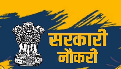 Government Job