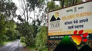 सह्याद्री व्याघ्र प्रकल्पात