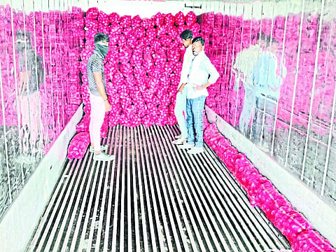 Export of onion 