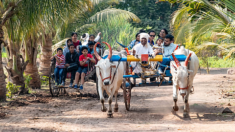 Agriculture Tourism