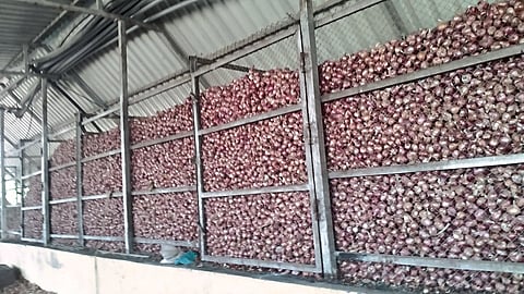 Onion Stocking