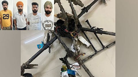 Terrorist