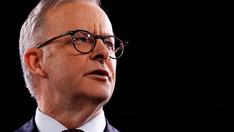 anthony albanese