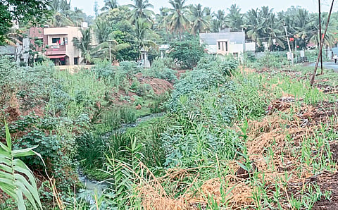Sewage treatment