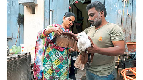 sunita and sachin shingare