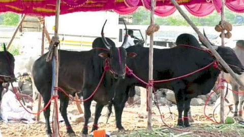 Khilar Khonda