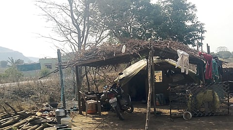 Hut