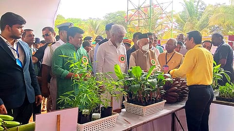 Suvarna Palvi Agriculture Festival inaugurated Governor Bhagat Singh Koshyari harnai