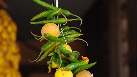 know the scientific reason behind hanging lemons and chili