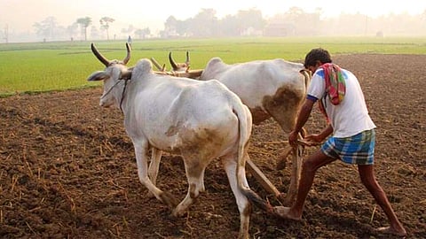 Bihar Govt Initiative Farmers will teach lessons of organic farming abroad