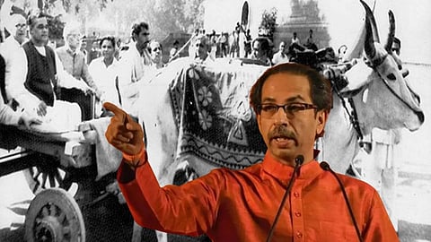 पेट्रोलचे दर ७ पैशांनी वाढले म्हणून अटलजींनी बैलगाडी मोर्चा काढला : उद्धव ठाकरे 