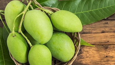 Raw mango