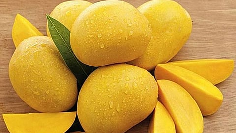 mango