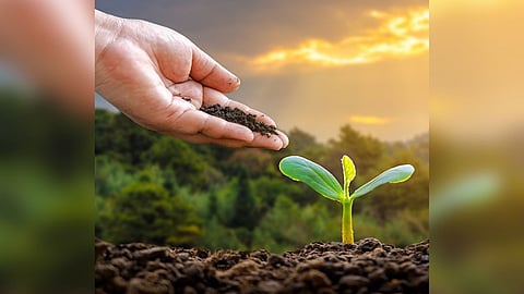 Farmer Agri tourism business
