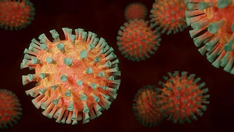 Mumbai witnesses surge in corona cases reported 318 fresh infections  