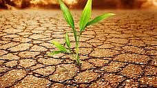 soil pollution