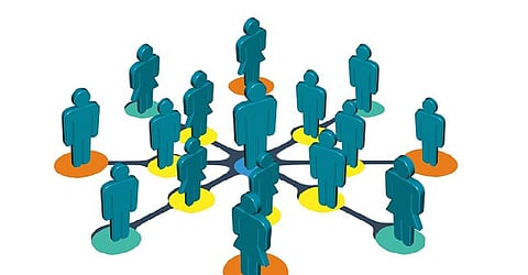 Social organisation