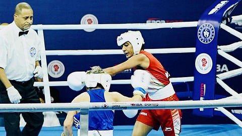Boxer Nitu 