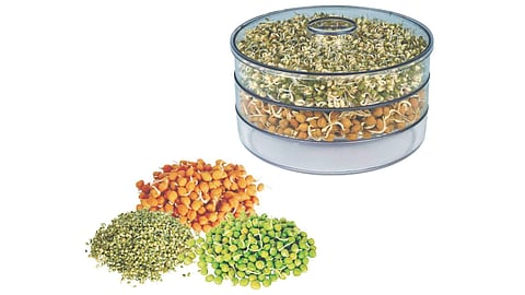 sprout maker