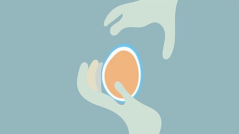 egg  fridging 