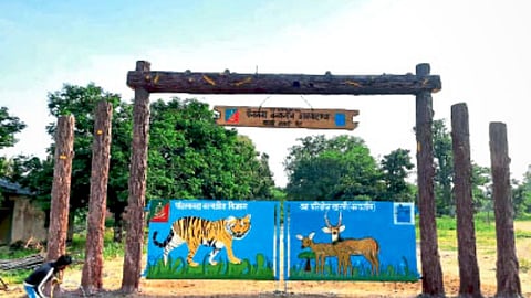 Now Jungle Safari at Panganga Sanctuary 