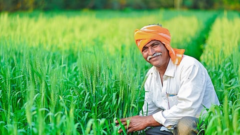 farmer