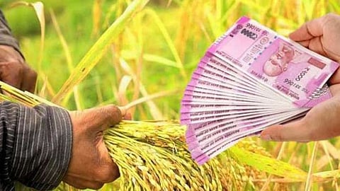 crop loan