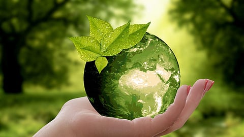 Environment