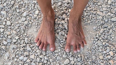 Foot