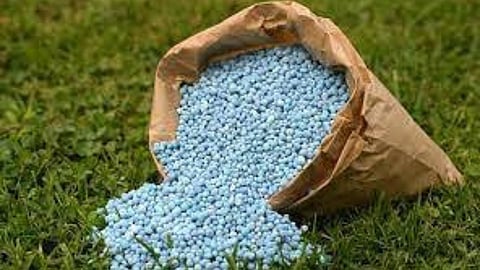 Kandahar fertilizer sale Shiv Sena demand action against agriculture officer